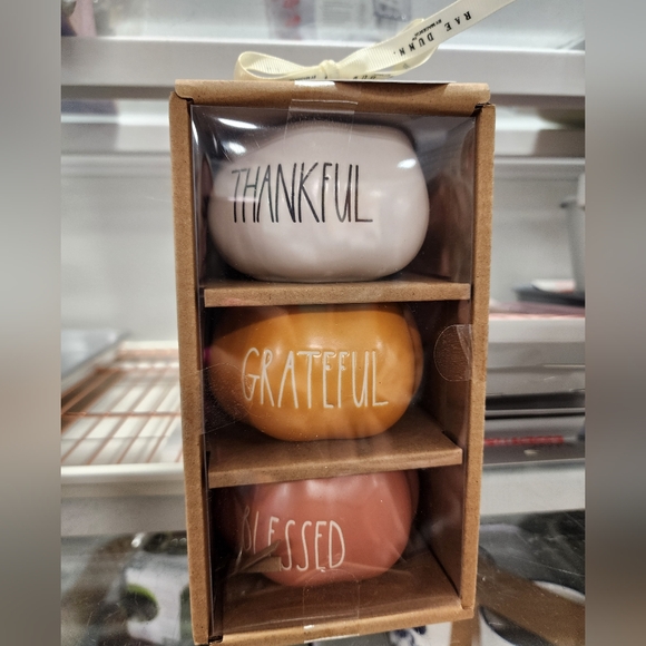 Rae Dunn Thankful Grateful Blessed Ceramic Trio - White, Orange, Pink - Picture 1 of 1